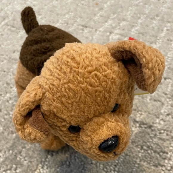 TY Beanie Babies Collection 1996 Tuffy the Dog Plush Stuffed Animal - Picture 1 of 2
